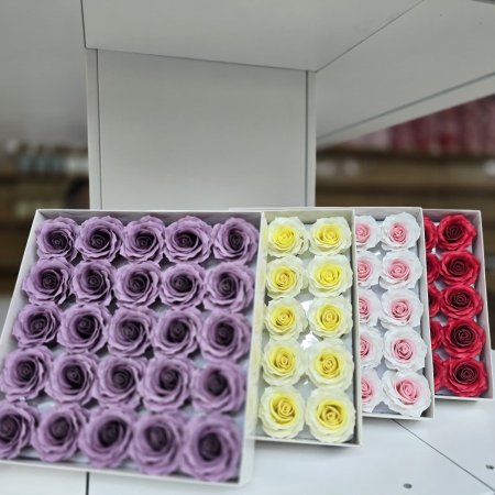 M34-4 ورد صابون