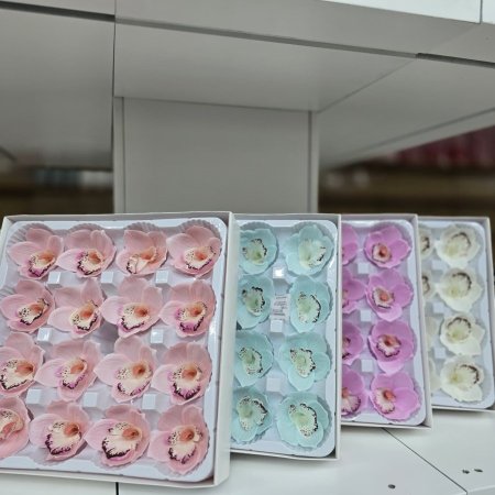 M34-8 ورد صابون