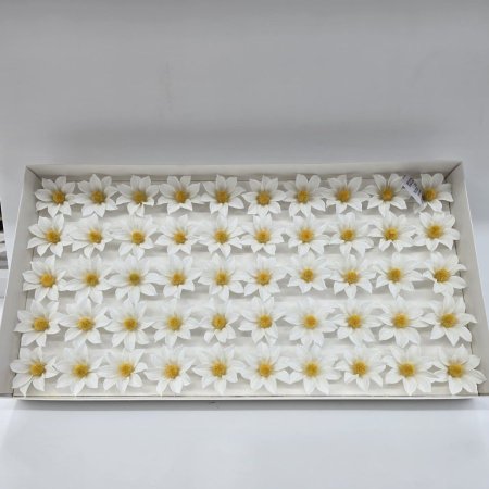 M34-9 ورد صابون