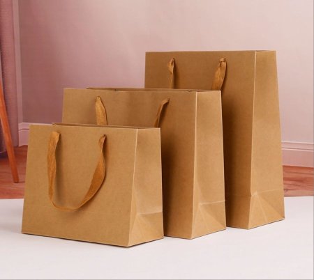 G17-1 كيس كرتون 24*10*19.5