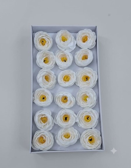 ابيض